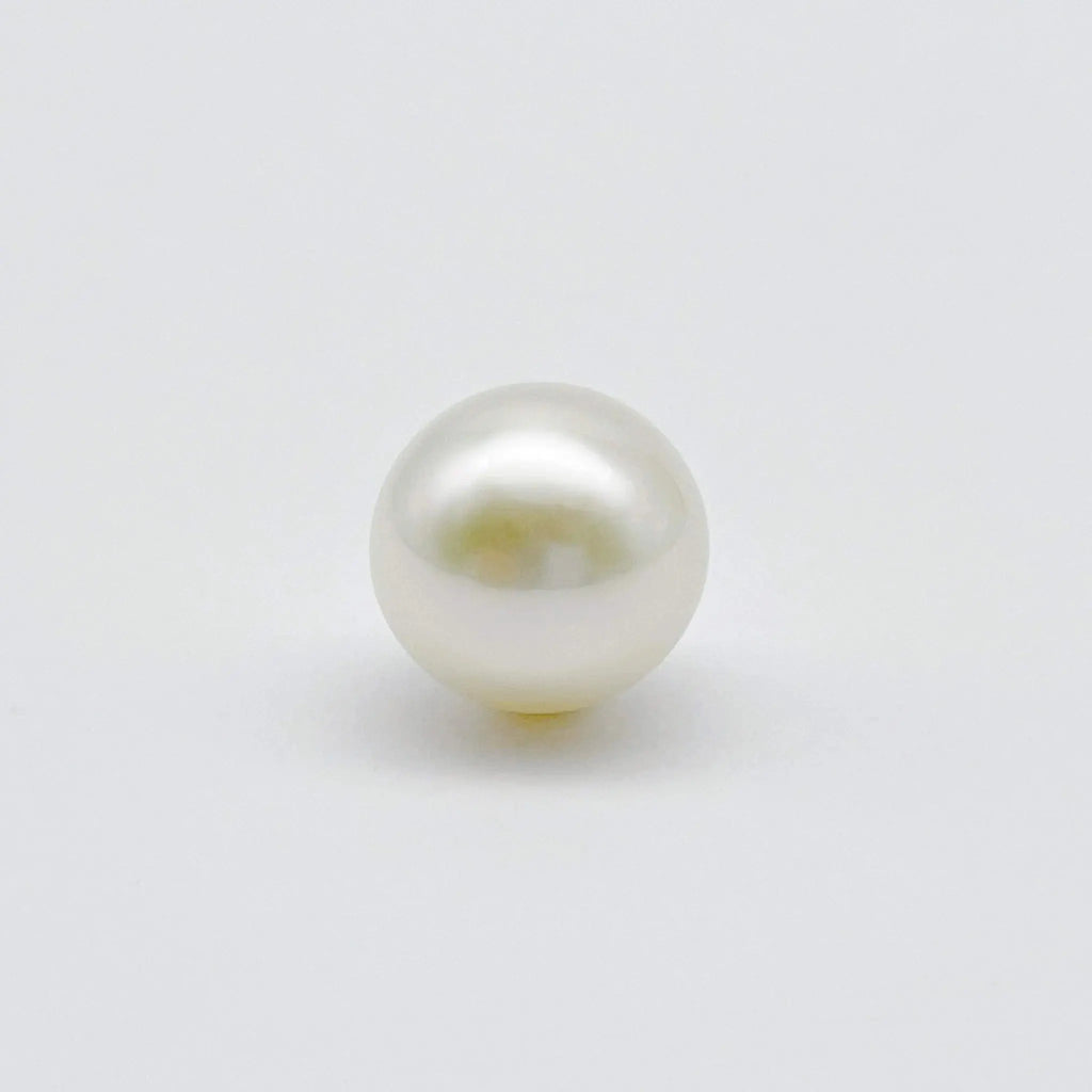 South Sea cultured pearl jewellery 12.7mm semi-round (Pinctada maxima) — The South Sea Pearl