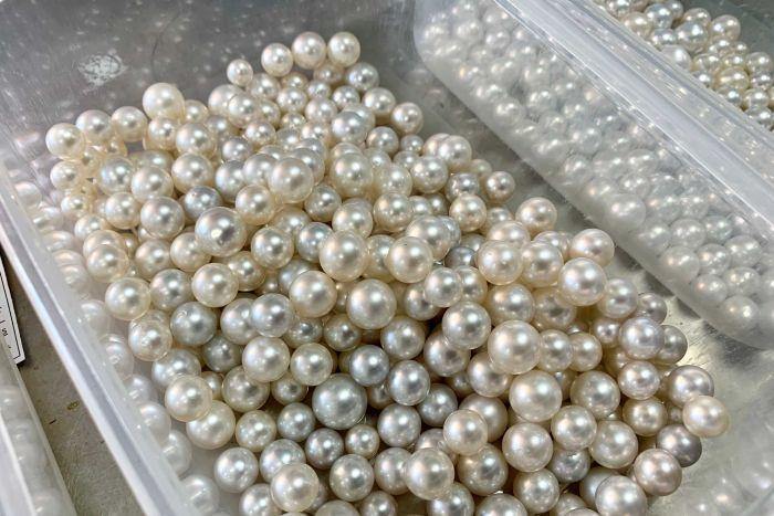How to start a South Sea Pearl business as a Reseller? | The South Sea Pearl