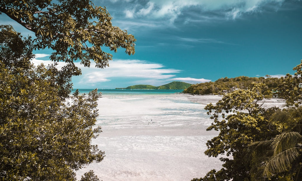 Unveiling the Beauty of Tahitian Pearls in French Polynesia