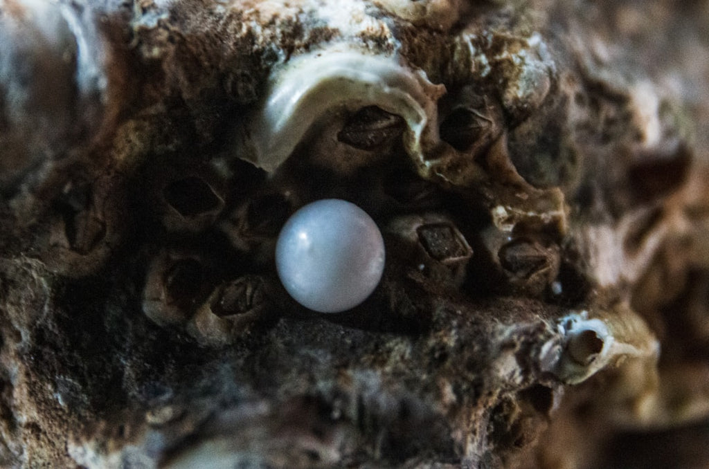 Unveiling the Mystery: How to Tell if a Tahitian Pearl is Real