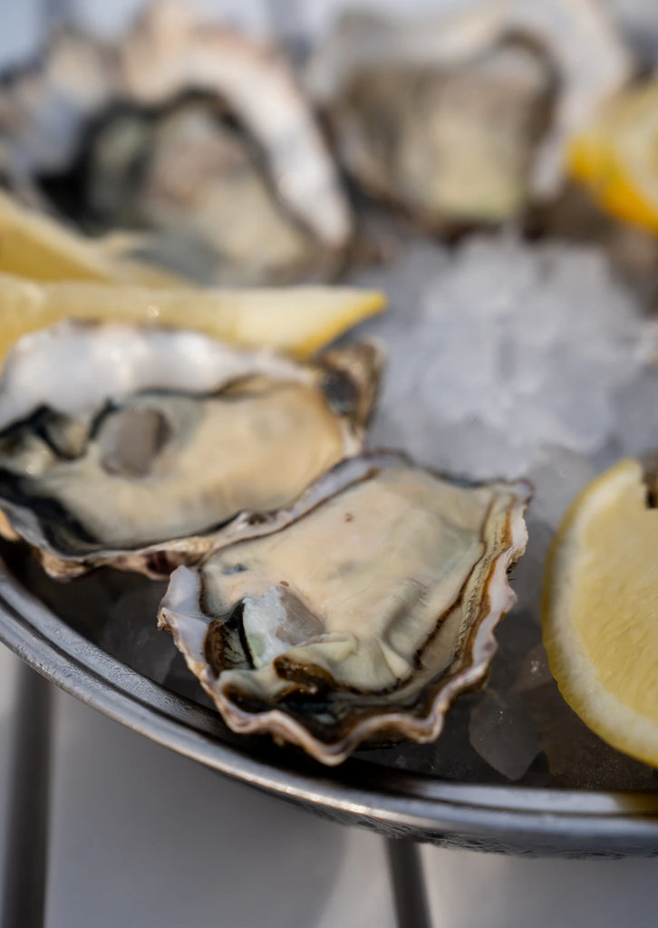 The Marvelous Black-Lipped Oyster and Tahitian Pearls
