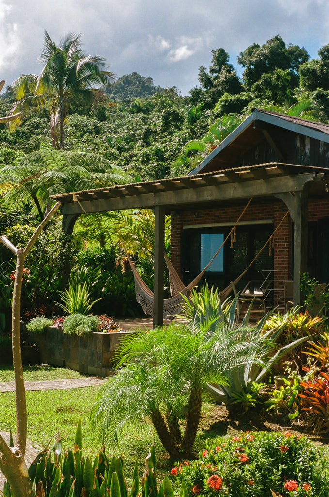 Discover Tahiti A Guide to Exploring Pearl Farms