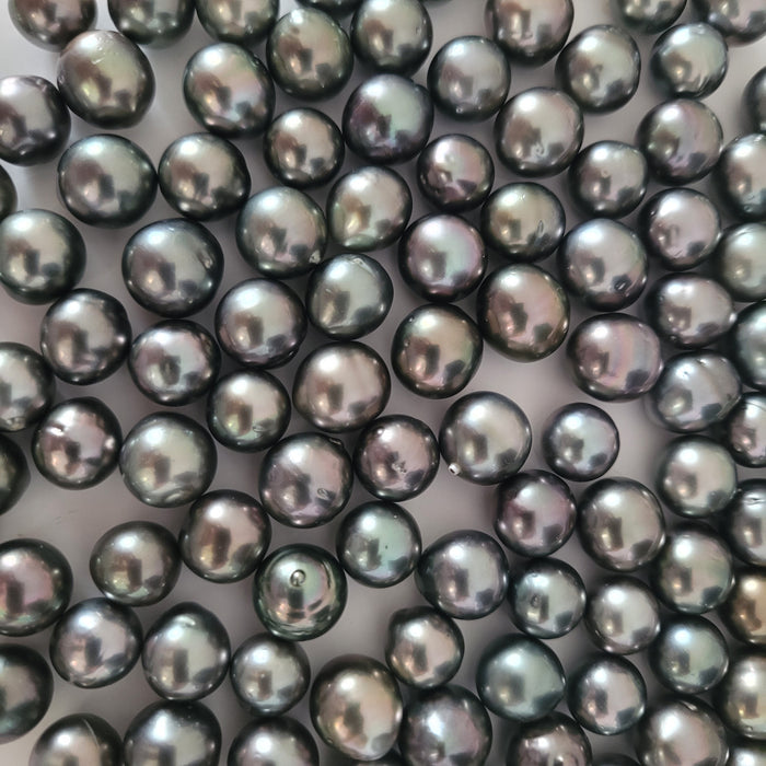 Loose South Sea Pearls at Wholesale Prices |  The South Sea Pearl