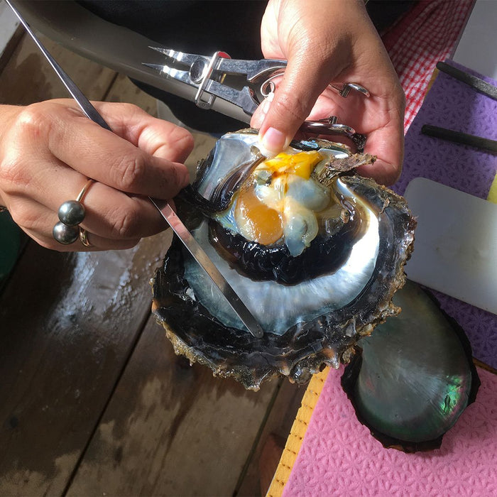 Tahitian Pearls & White South Sea Pearls Bracelet 9-10 mm, 18 Karat Solid Yellow Gold Clasp