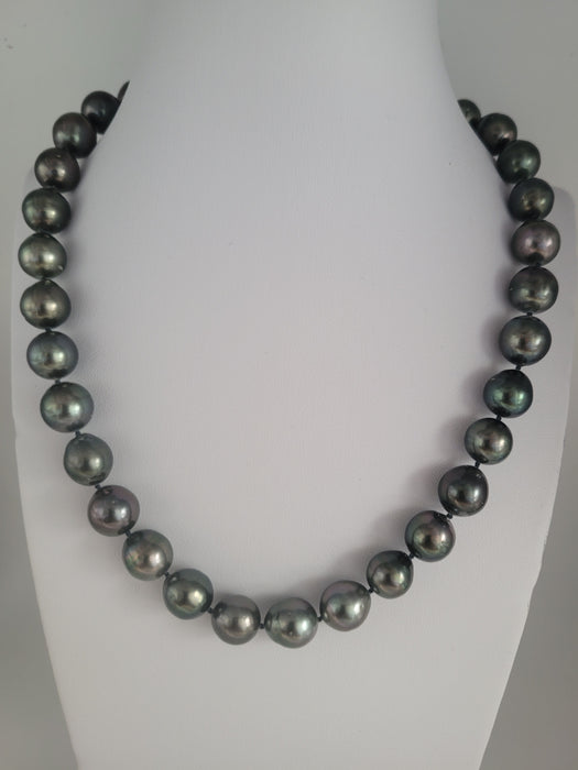 Tahiti Pearls of Dark Color and High Luster 10-11 mm |  The South Sea Pearl |  The South Sea Pearl