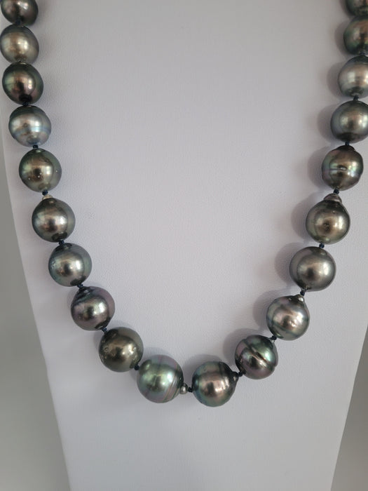 Tahiti Pearls 12-14 mm Dark Color and High Luster |  The South Sea Pearl |  The South Sea Pearl