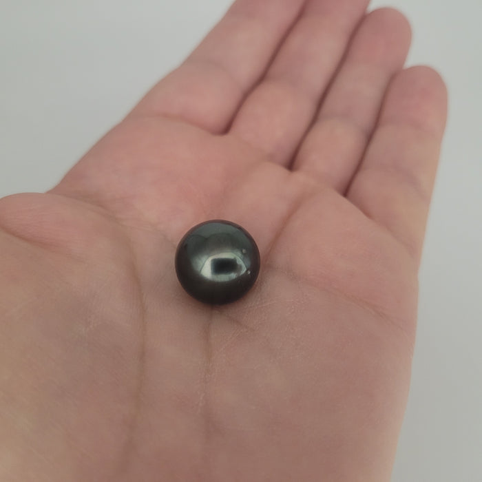 Tahiti Loose Pearl Dark Color and Very High Luster 15 mm