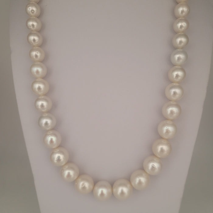 White South Sea Pearls Round 8-13 mm 18K Gold Clasp