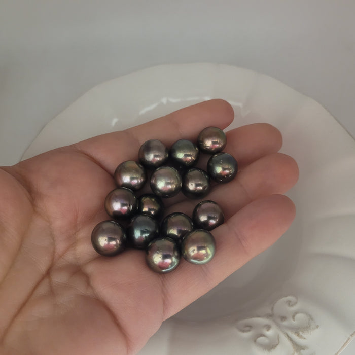Tahiti Pearls  11-12 mm Natural Color And Very High Luster