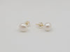 Cultured Pearls 7.5-8 mm AAA button shape | The South Sea Pearl |  The South Sea Pearl