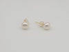 Cultured Pearls 7.5-8 mm AAA button shape | The South Sea Pearl |  The South Sea Pearl