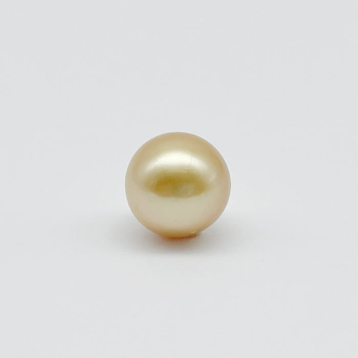 South Sea pearl Loose 12mm golden round — The South Sea Pearl