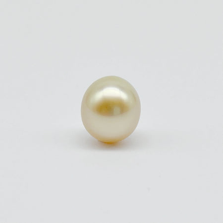 South Sea pearl Loose 11mm golden drop — The South Sea Pearl