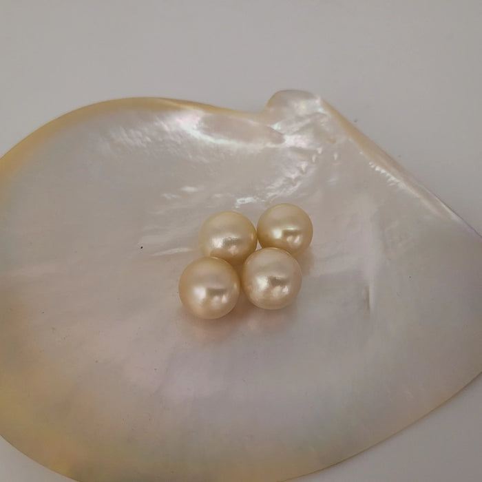 Golden South Sea Pearls 13 mm Round AAA Quality |  The South Sea Pearl |  The South Sea Pearl