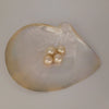 Golden South Sea Pearls 13 mm Round AAA Quality |  The South Sea Pearl |  The South Sea Pearl