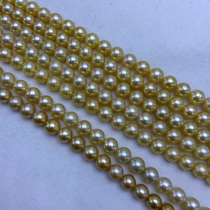 Golden South Sea Pearl Strands 9-12 mm Round