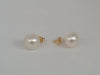 South Sea Pearls 12 mm 18 Karat Gold Earrings | The South Sea Pearl |  The South Sea Pearl