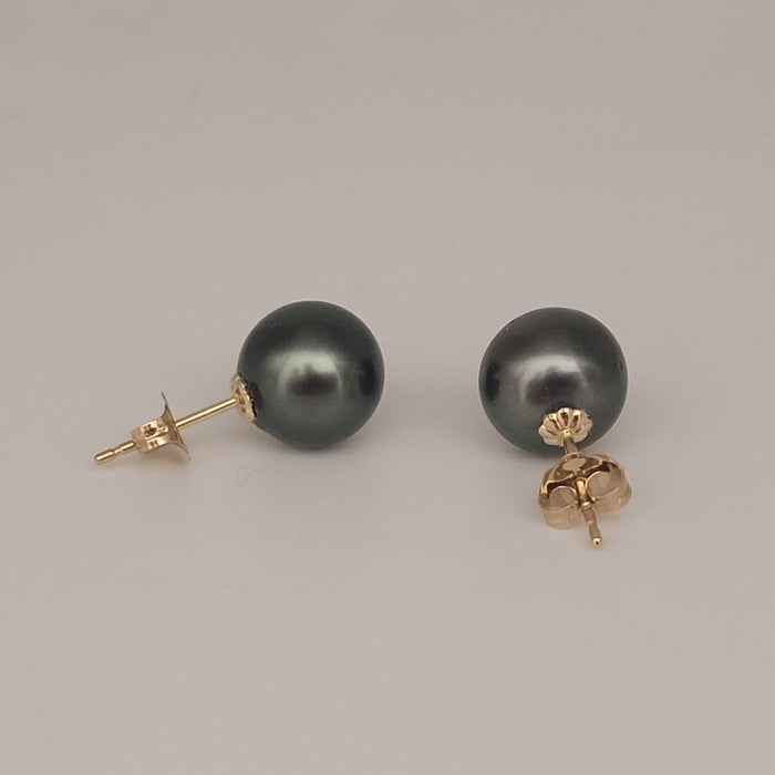 Tahitian Pearl Stud Earrings 9-10 mm, AAA, 18K Solid Gold