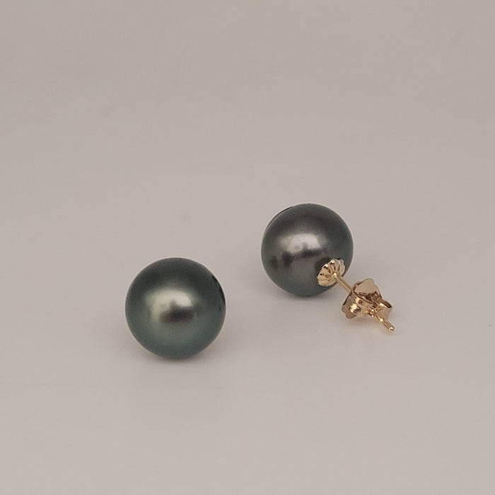 Beautiful Tahitian 9 -10 Pearl Stud Earrings