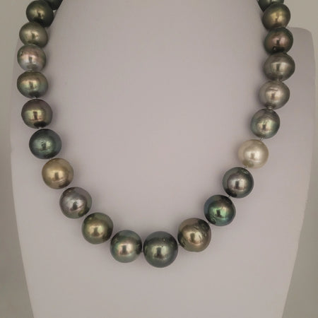 Tahiti 12-14 mm Multi-Color Pearls Very High Luster 18K Gold Clasp | The South Sea Pearl |  The South Sea Pearl