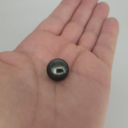 Tahiti Loose Pearl Dark Color and Very High Luster 15 mm | The South Sea Pearl |  The South Sea Pearl