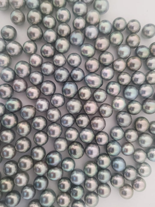 Tahiti Loose Pearls 10 mm AA Quality Round/Semiround and High Luster | The South Sea Pearl |  The South Sea Pearl
