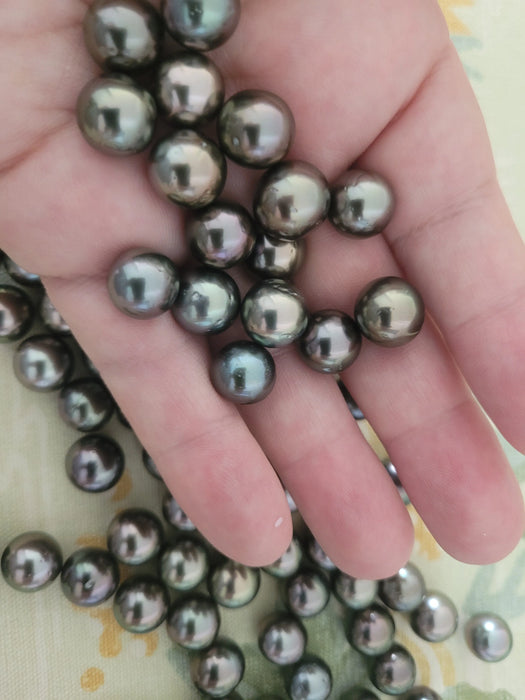 Tahiti Loose Pearls 11-12 mm AA Quality Cherry Color and High Luster | The South Sea Pearl |  The South Sea Pearl