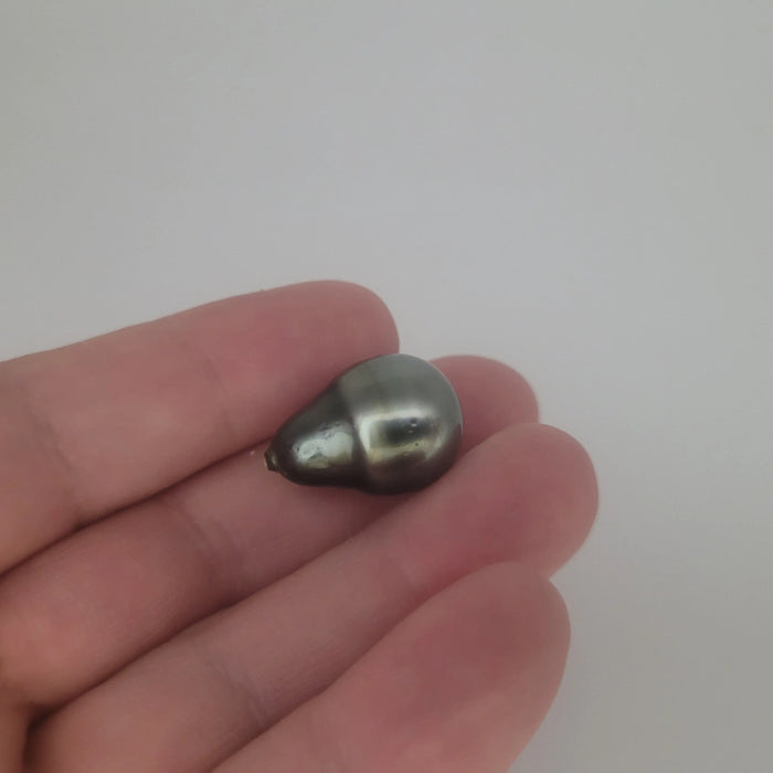 Tahiti Pearl Tear-Drop Shape Large size 22 x 15 mm | The South Sea Pearl |  The South Sea Pearl