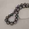 Tahiti Pearls 11-13 mm Round Very High Luster 18K Gold Clasp | The South Sea Pearl |  The South Sea Pearl