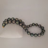 Tahiti Pearls 11-13 mm Round Very High Luster 18K Gold Clasp | The South Sea Pearl |  The South Sea Pearl