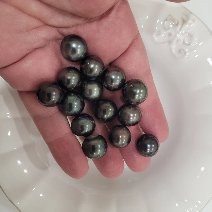 Tahiti Pearls 13-14 mm Dark Color, Very High Luster, Semi-Round |  The South Sea Pearl |  The South Sea Pearl