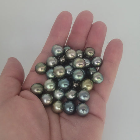 Tahiti Pearls Multi-Colors 11-12 mm AAA loose very high luster | The South Sea Pearl |  The South Sea Pearl