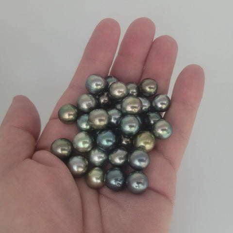 Tahitian pearls 11-12mm multicolor, AAA loose (Pinctada margaritifera)