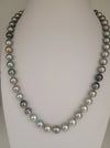 Tahiti Pearls Necklace 8 mm multicolor, round, high luster, 18K gold clasp | The South Sea Pearl |  The South Sea Pearl