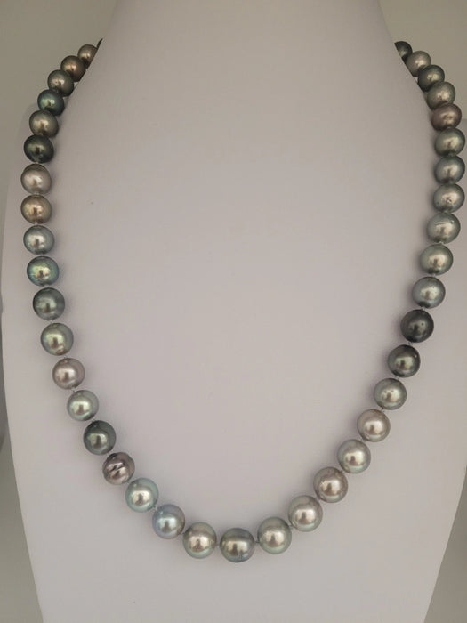 Tahiti Pearls Necklace 8 mm multicolor, round, high luster, 18K gold clasp | The South Sea Pearl |  The South Sea Pearl
