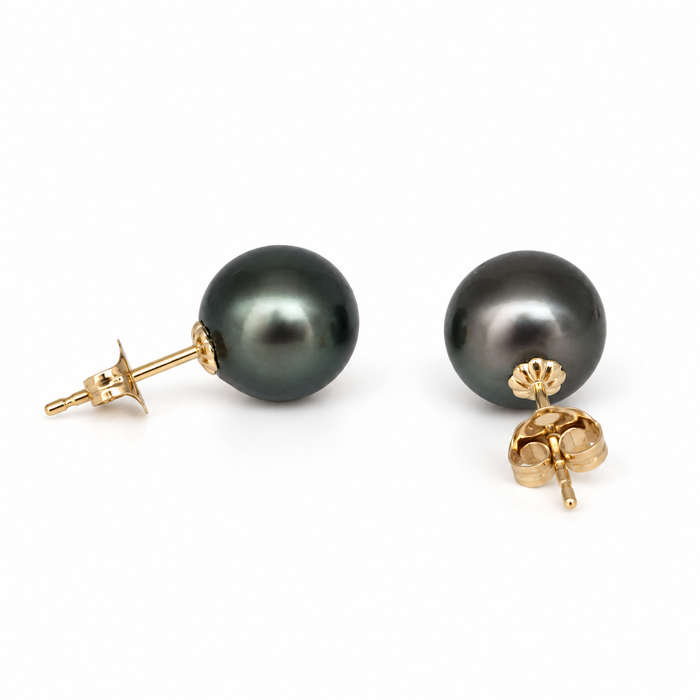 Beautiful Tahitian 9 -10 Pearl Stud Earrings