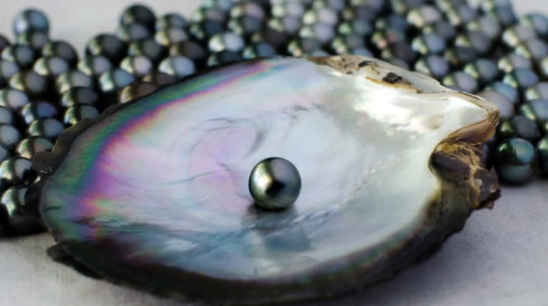 Tahiti Pearls Bracelet 9-10 mm AAA, 18K Gold Clasp (Pinctada margaritifera) — The South Sea Pearl