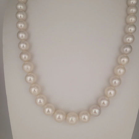 What South Sea Pearls Round 10-12 mm 18 Gold Clasp | The South Sea Pearl |  The South Sea Pearl