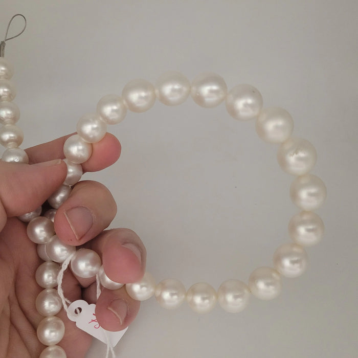 White South Sea Pearls 10-13.70 mm Round Shape 18K Gold Clasp | The South Sea Pearl |  The South Sea Pearl