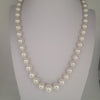 White South Sea Pearls Near-Round High Luster 18K Gold Clasp | The South Sea Pearl |  The South Sea Pearl