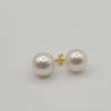 South Sea Pearls Earrings 9 mm studs natural color and orient | South Sea Pearls |  The South Sea Pearl