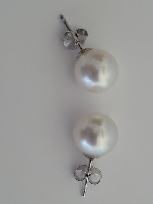 White South Sea Pearls Stud Earrings 10 mm - Only at  The South Sea Pearl