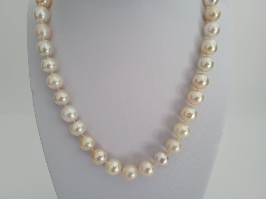 South Sea Pearls 9-11 mm Natural Colors - Only at  The South Sea Pearl