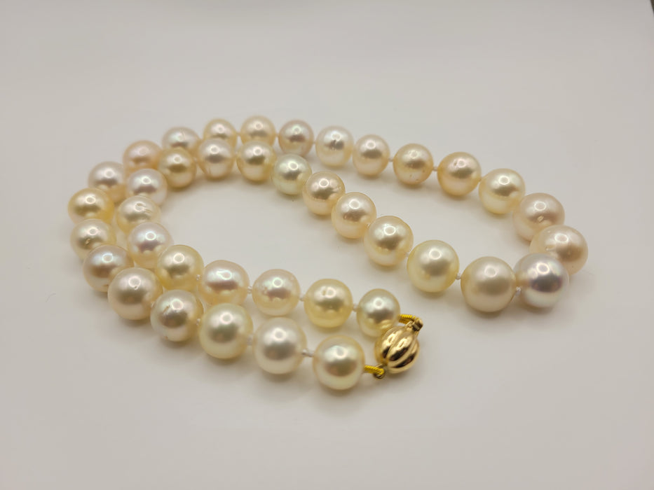 South Sea Pearls 9-11 mm Natural Colors - Only at  The South Sea Pearl