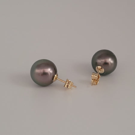 Tahiti Pearl Earrings 12 mm AAA Quality High Luster 18K Solid Gold |  The South Sea Pearl |  The South Sea Pearl