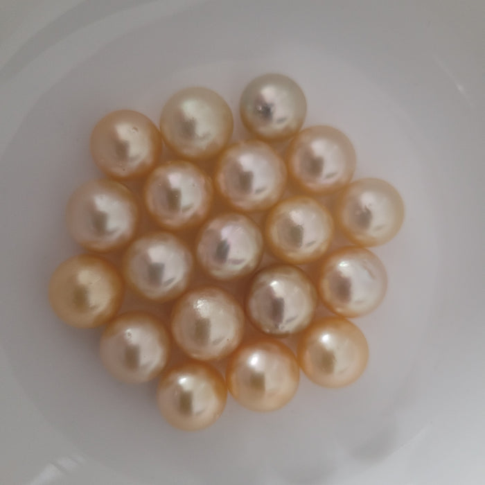 Golden South Sea Pearls Round 11-12 mm |  The South Sea Pearl |  The South Sea Pearl