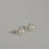 Earring studs of White South Sea Pearls AAA, Diamonds and 18K White Solid Gold |  The South Sea Pearl |  The South Sea Pearl