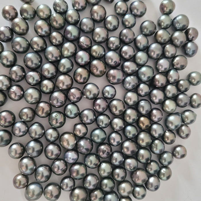 Tahiti Pearls Loose 10-11 mm Natural Color |  The South Sea Pearl |  The South Sea Pearl