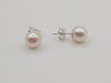 Akoya Pearl Earrings in 925 Sterling Silver - Sizes range from 7 to 9mm -  The South Sea Pearl