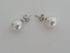 South Sea Pearl Earrings, Sizes from 9 to 11mm, Manufactured in 925 mls Silver -  The South Sea Pearl